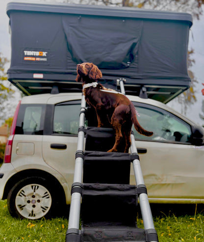 Tentbox Roof Tent Security