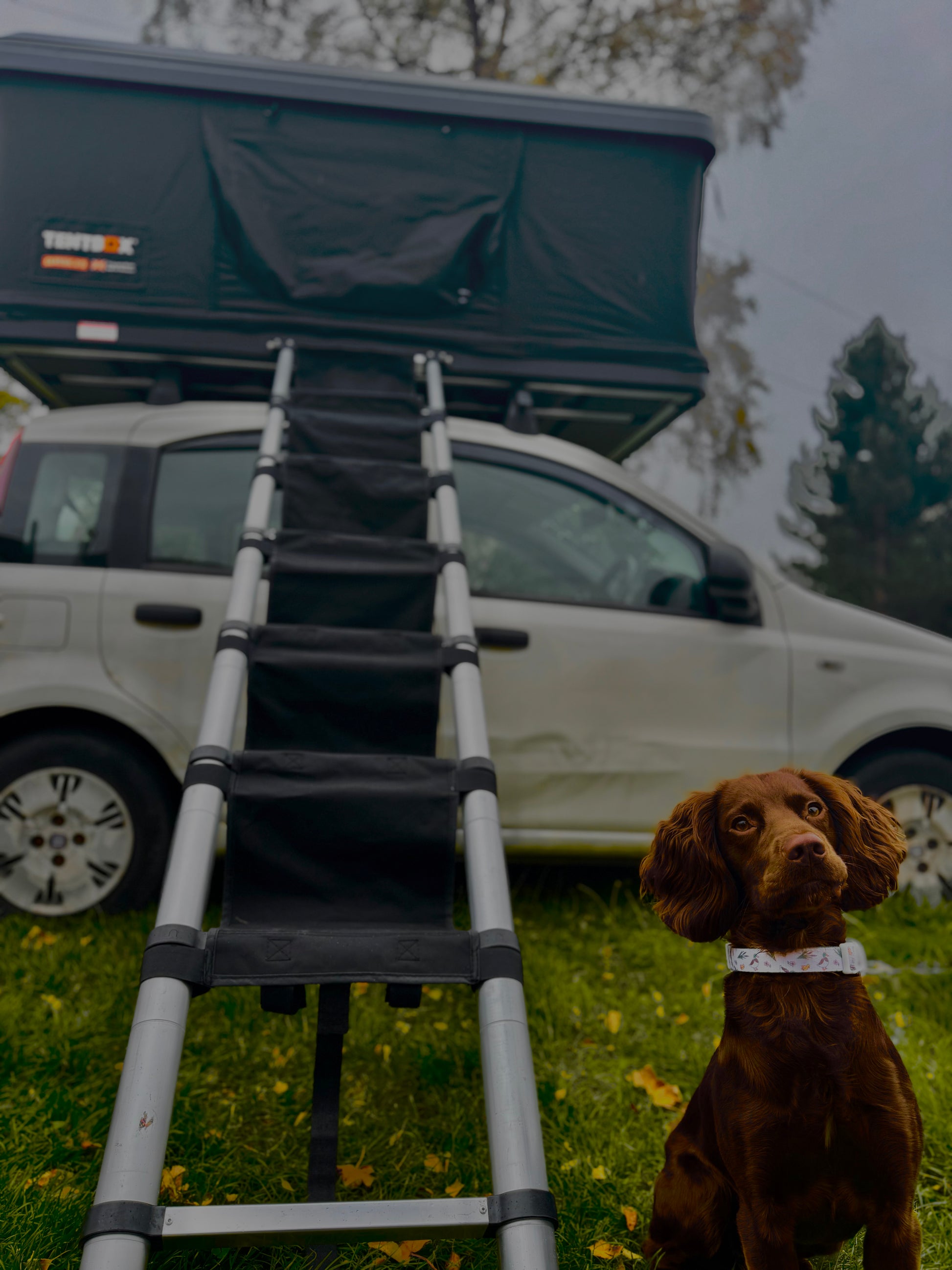 rooftop tent ladder steps Tentbox Roof Tent Security
